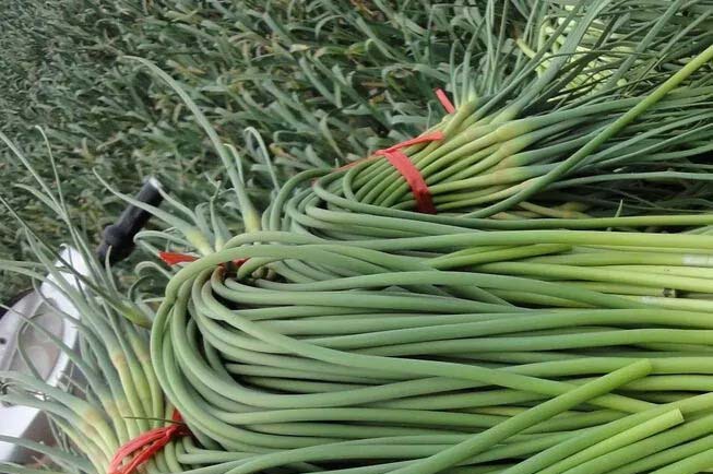 5大法正確喝冷飲 讓你涼爽一夏盛...