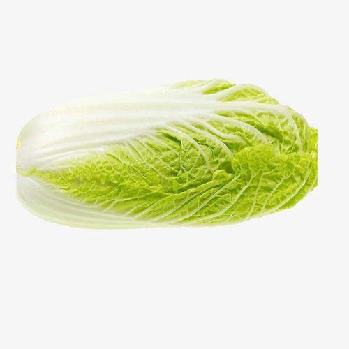 5色養(yǎng)生度夏 黃色養(yǎng)生靠玉米盛夏