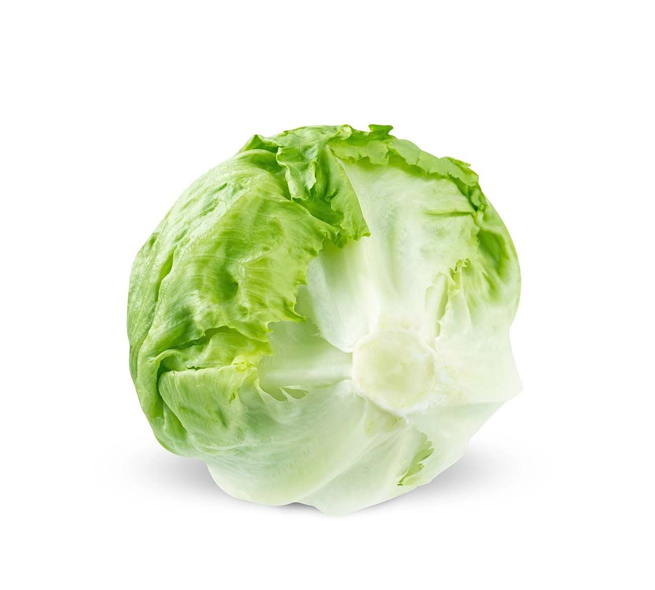 蔬菜配送價格表 2024-9-...