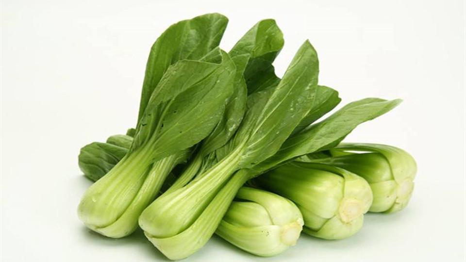 7道冬春交替養生湯：沙參百合湯潤...